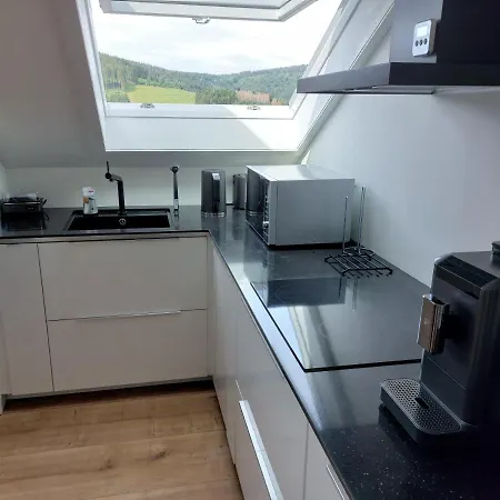 Suedhang Ferienhaus Winterberg