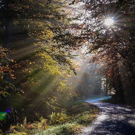 Suedhang * وينتربرغ