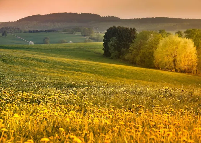 Сasa de vacaciones Südhang *