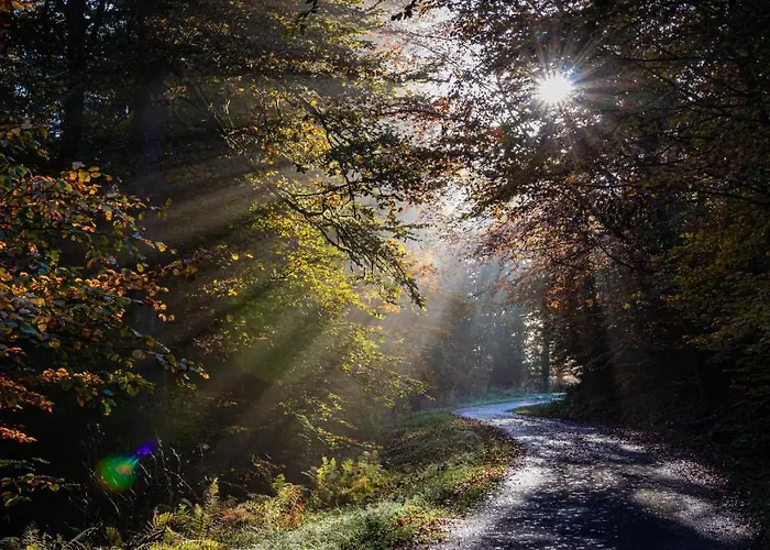 Suedhang * وينتربرغ