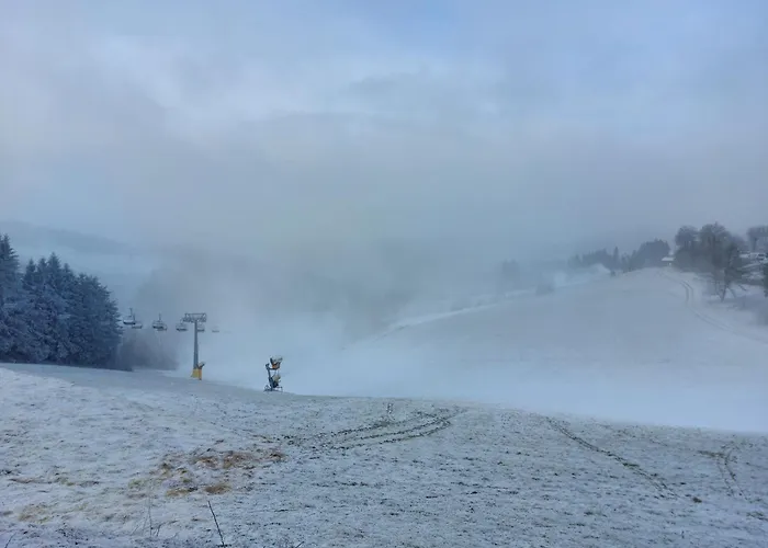 Prázdninový dům Suedhang Winterberg