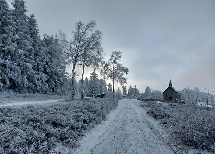 Prázdninový dům Suedhang Winterberg