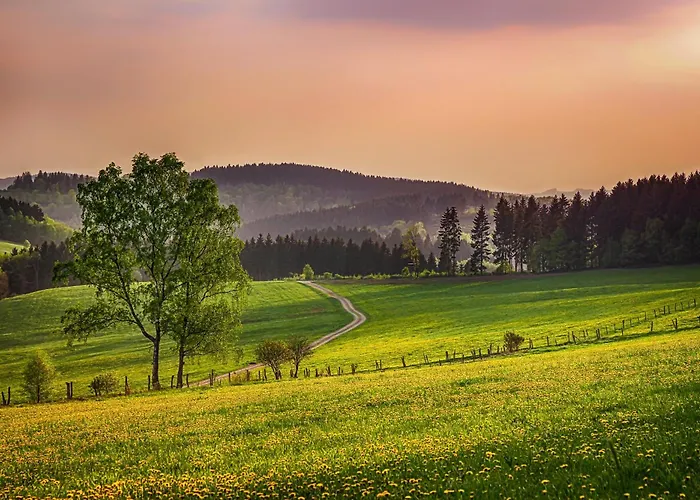 Suedhang * Winterberg